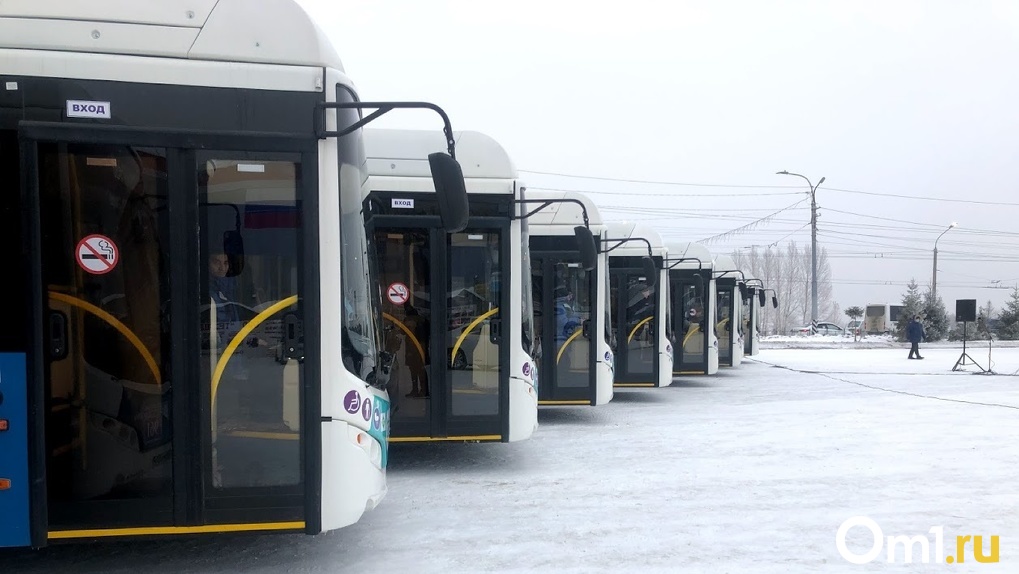В Омске появится ещё 48 высокоэкологичных автобусов