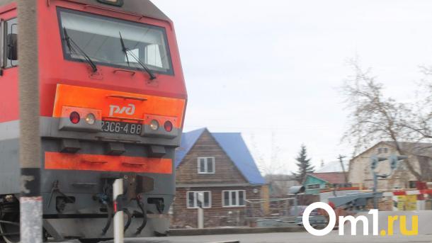 В Нижнем Новгороде представят сибирский тепловоз из мусора