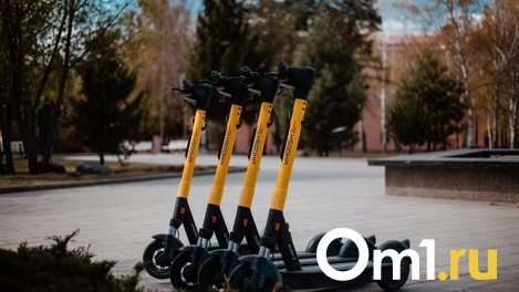 Более 50% новосибирцев выступили за ограничение правил вождения электросамокатов