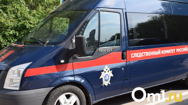 В Новосибирске арестовали главу службы безопасности художественного музея