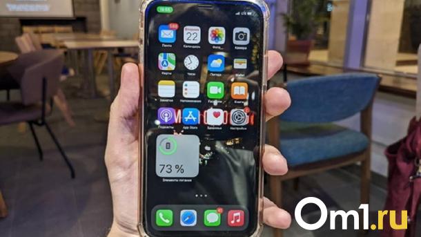 Рецидивист из Омска крал телефоны в магазинах и сдавал их в ломбард