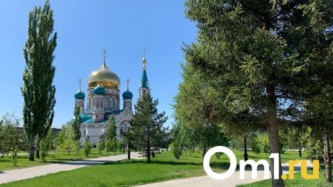 В Центральном округе парки и скверы начали обрабатывать от клещей