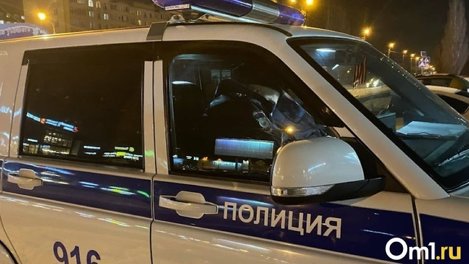 Торчат пульки: в омских «Кузьминках» неизвестные обстреляли машины и дома из пневматического оружия