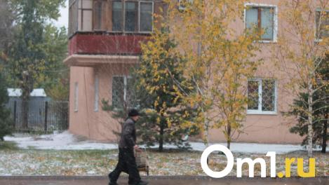 Изменение погоды в Омске объяснили разрушающимся антициклоном