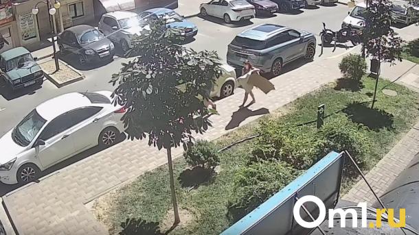 У омички в Краснодаре украли картонную фигуру Путина