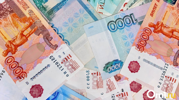 Депутаты Заксобрания Новосибирской области анонимно отчитались о своих доходах за 2022 год