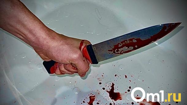 Новосибирца приговорили к девяти годам колонии за жестокое убийство