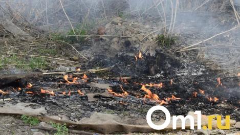 В Омской области установлен особый противопожарный режим