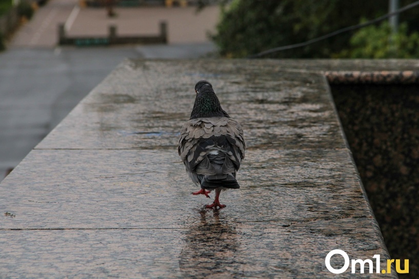 Изображение фоторепортажа