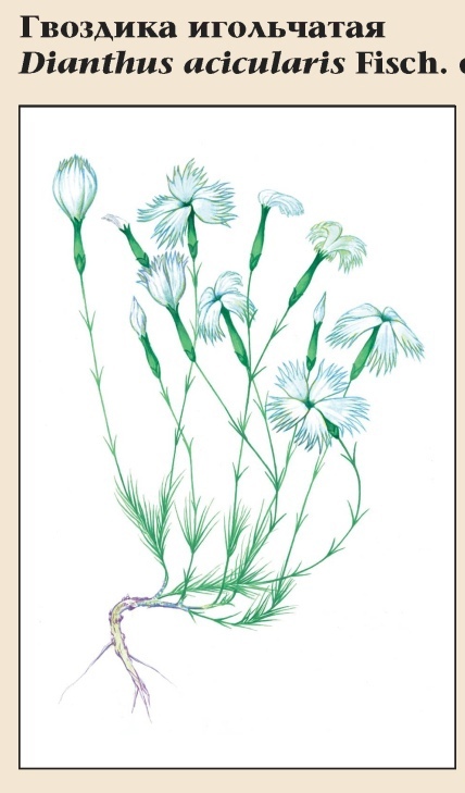 Изображение фоторепортажа