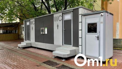 В Омске ищут подрядчиков для установки биотуалетов на пляжах и в парке