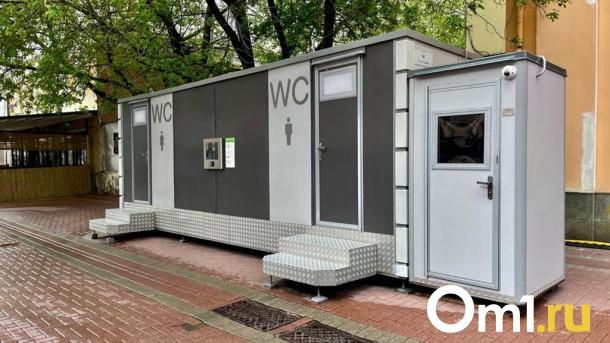 В Омске ищут подрядчиков для установки биотуалетов на пляжах и в парке