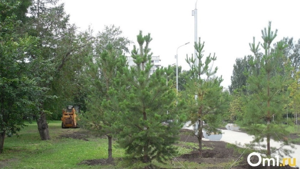 Открытие Заельцовского парка в Новосибирске запланировано на октябрь 2021 года
