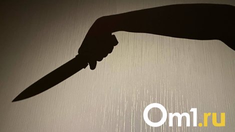 В Омске семейный конфликт закончился ножевым ранением и поездкой в больницу