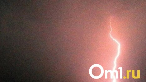 В летевший из Красноярска в Новосибирск самолет S7 ударила молния