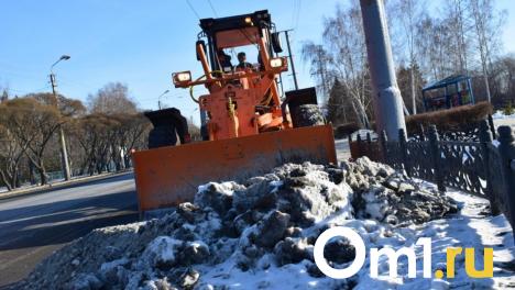 Названы улицы Омска, с которых в первую очередь вывезут снег после метели