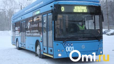 Электробусы признали недостаточно хорошими для Омска