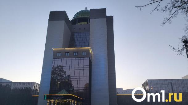 Новосибирские учёные создали «зелёные» стройматериалы из отходов