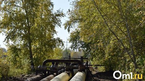 В РЭК объяснили предложение о повышении тарифов на ЖКХ в Омской области