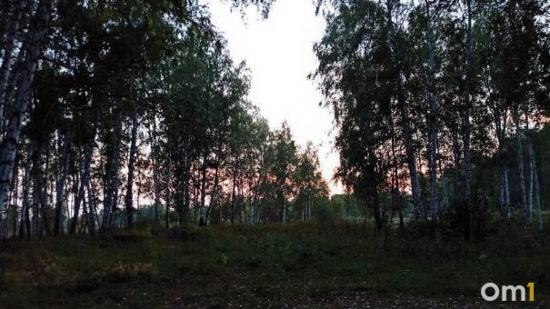 Опубликованы фото с места расправы над матерью двоих детей из Тары