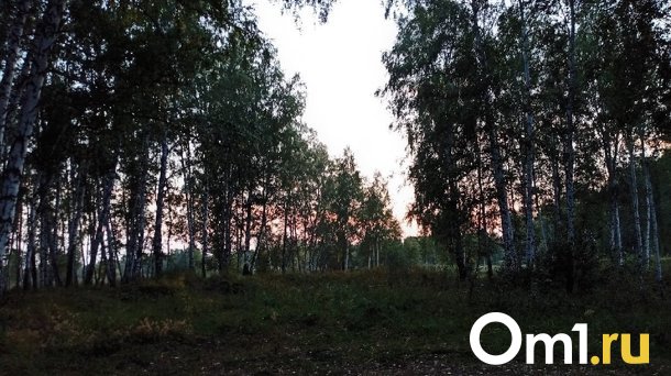 Опубликованы фото с места расправы над матерью двоих детей из Тары