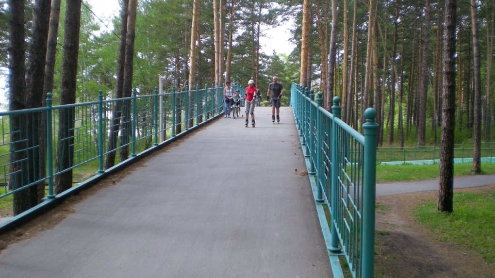 В Новосибирске благоустроят Заельцовский парк