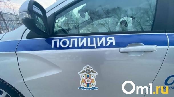 Вор-рецидивист украл из омского комиссионного магазина шубу