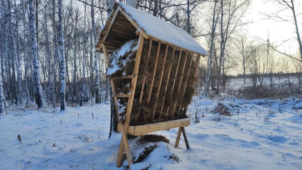 Охотоведы Новосибирской области приготовили 56 тысяч веников для подкормки животных