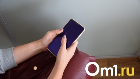 Омичу грозит пять лет тюрьмы за кражу смартфона у жителя Волгограда