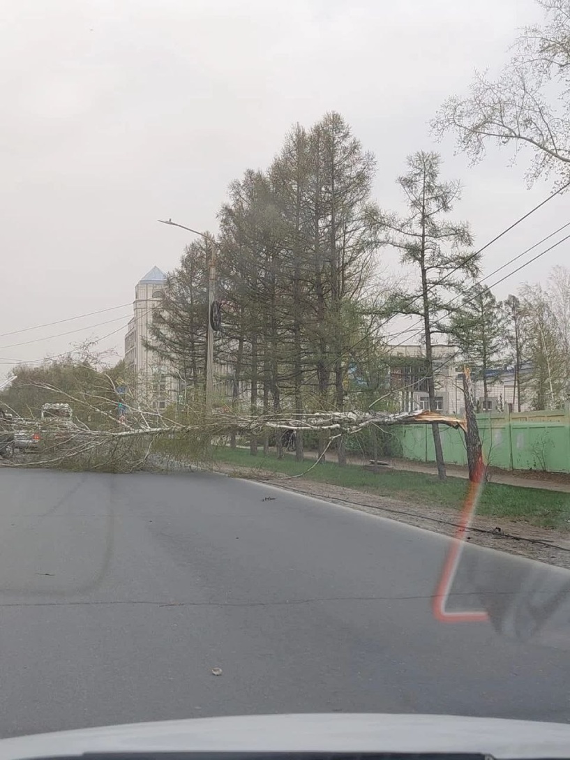 Изображение фоторепортажа