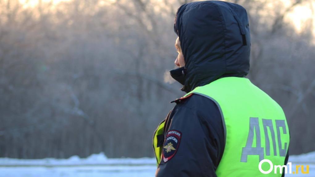 Омские полицейские остановили нетрезвую омичку, которая везла в салоне ребёнка