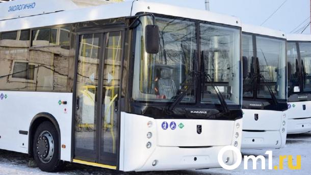 Для Омской области закупили 42 новых автобуса