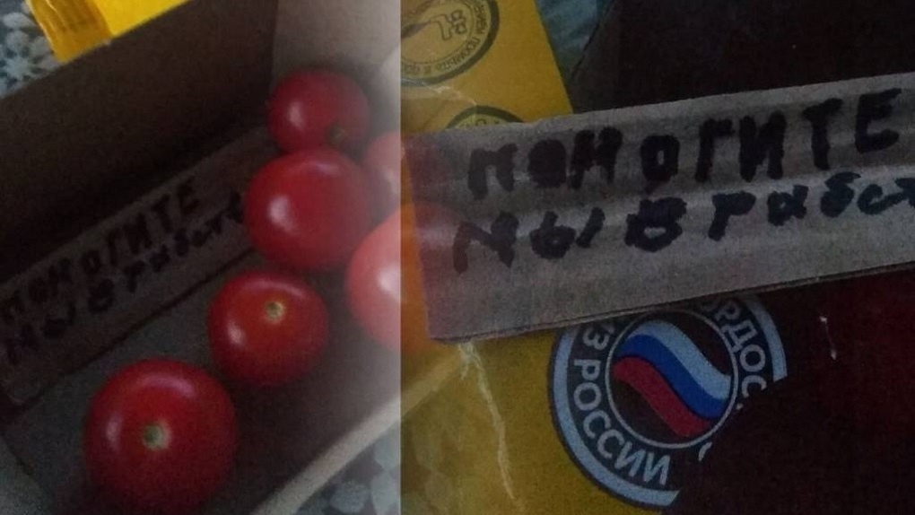 Жительница Новосибирска нашла в томатах записку с просьбой о помощи