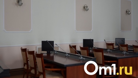 Из состава омской «зелёной» комиссии исключили трёх депутатов горсовета