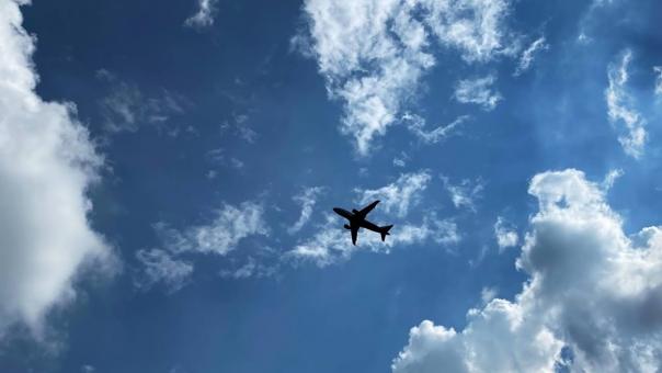 На Бали ужесточат контроль за внешним видом и поведением туристов