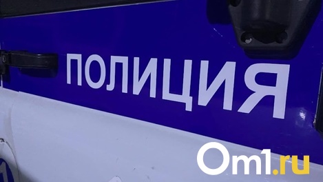 Соцсети: тело мужчины обнаружили омичи на одной из улиц Левобережья
