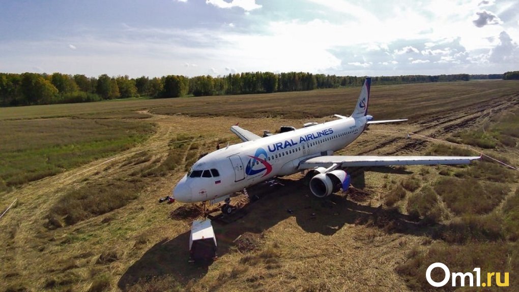 «Уральские авиалинии» прокомментировали результаты проверки после посадки самолёта в поле