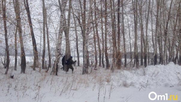 Омские поисковики рассказали, сколько людей нашли живыми и мёртвыми