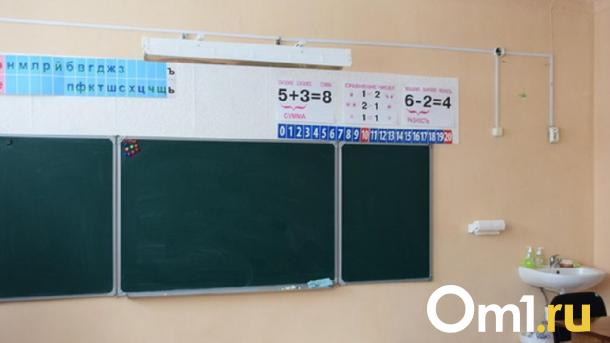Молодые омские учителя получат выплаты до 25 тысяч рублей