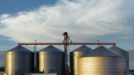 В Новосибирской области стоимость реконструкции Купинского элеватора выросла до 8 млрд рублей