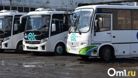 Садовые маршруты в Омске будут работать только по выходным