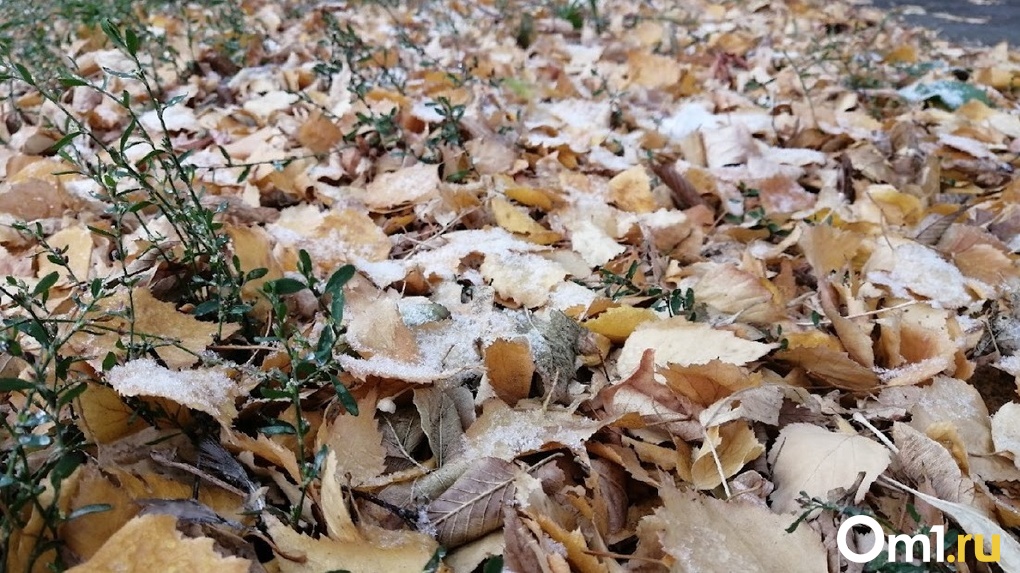 В Омск идут первые осенние заморозки