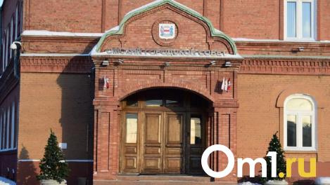 Уже семь человек захотели стать новыми депутатами Омского горсовета