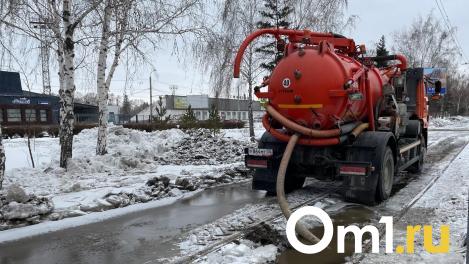 В омском снеге накопилось слишком большое количество воды