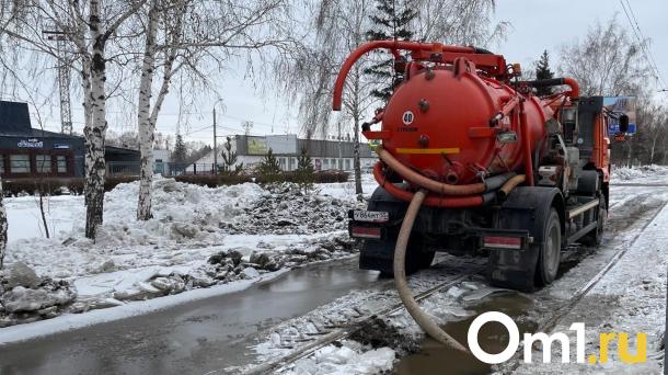 В омском снеге накопилось слишком большое количество воды