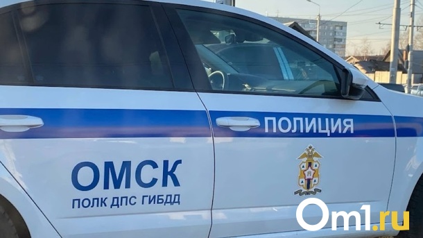 Сбил ребёнка и скрылся: в Омске разыскивают водителя иномарки