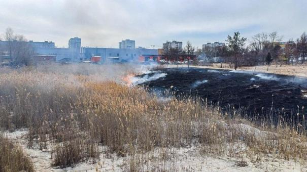 Омские спасатели потушили крупное возгорание травы на улице Дианова