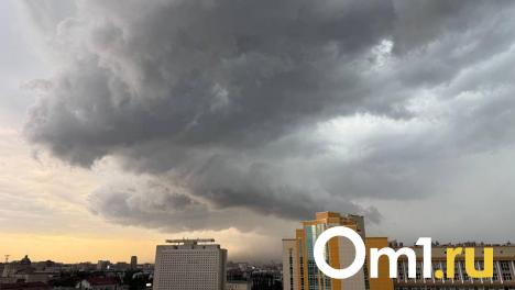 +16 градусов днём: названа дата похолодания в Омской области