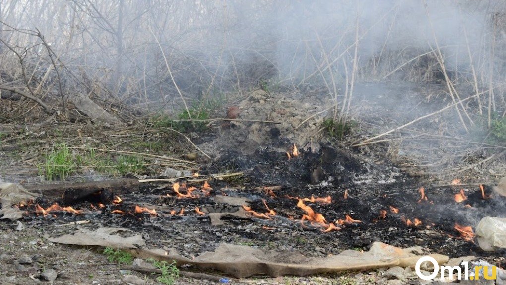 Огонь вплотную подошёл к жилым домам на севере Омской области