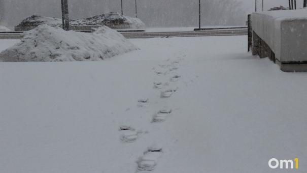 Туман, снег и метель. Омичей предупредили об опасной для жизни погоде